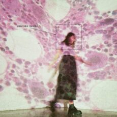 Soccer Mommy – Sometimes Forever – (Limited Transparent Pink Vinyl)