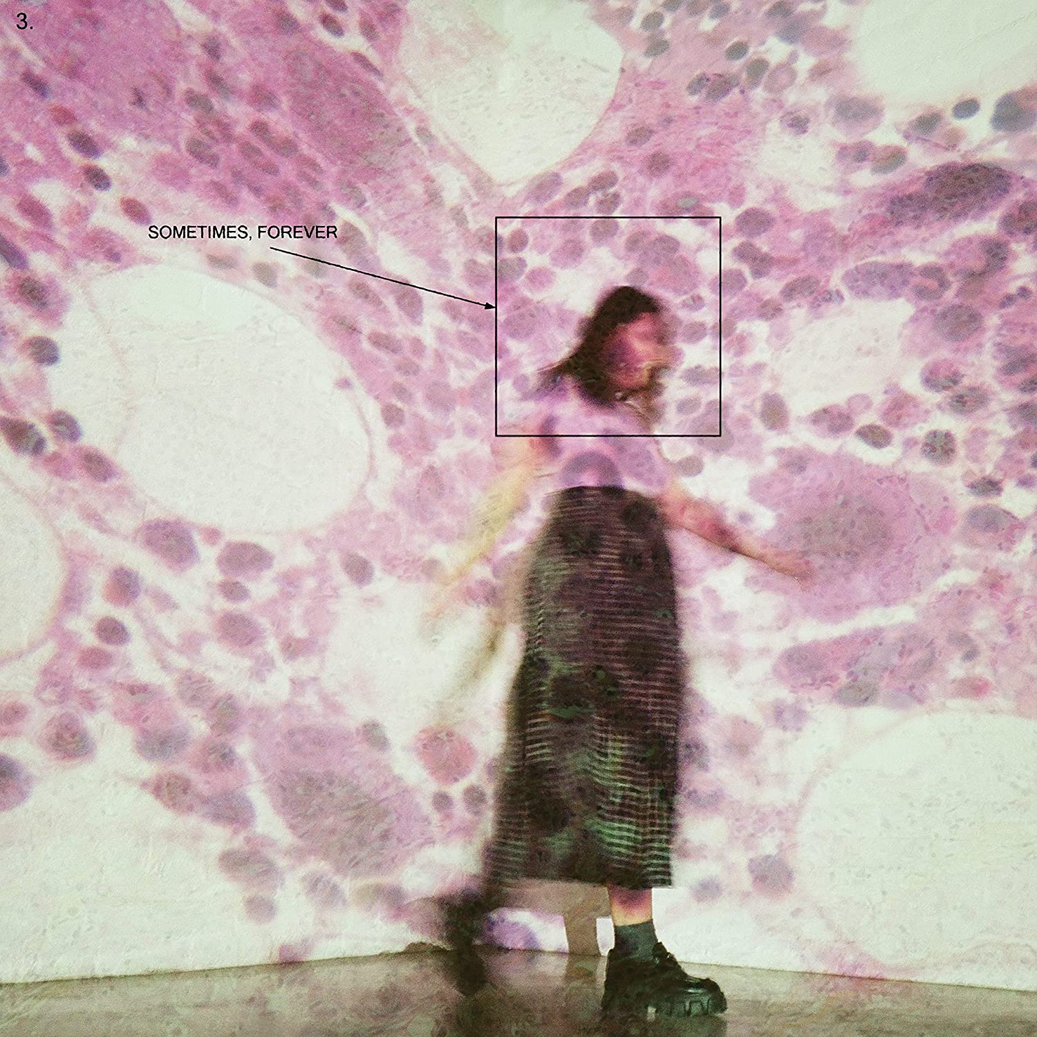 Soccer Mommy – Sometimes Forever – (Limited Transparent Pink Vinyl)