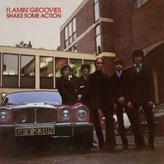 Flamin’ Groovies – Shake Some Action