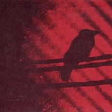 Silver Mount Zion – Born into Trouble as the Sparks Fly Upward