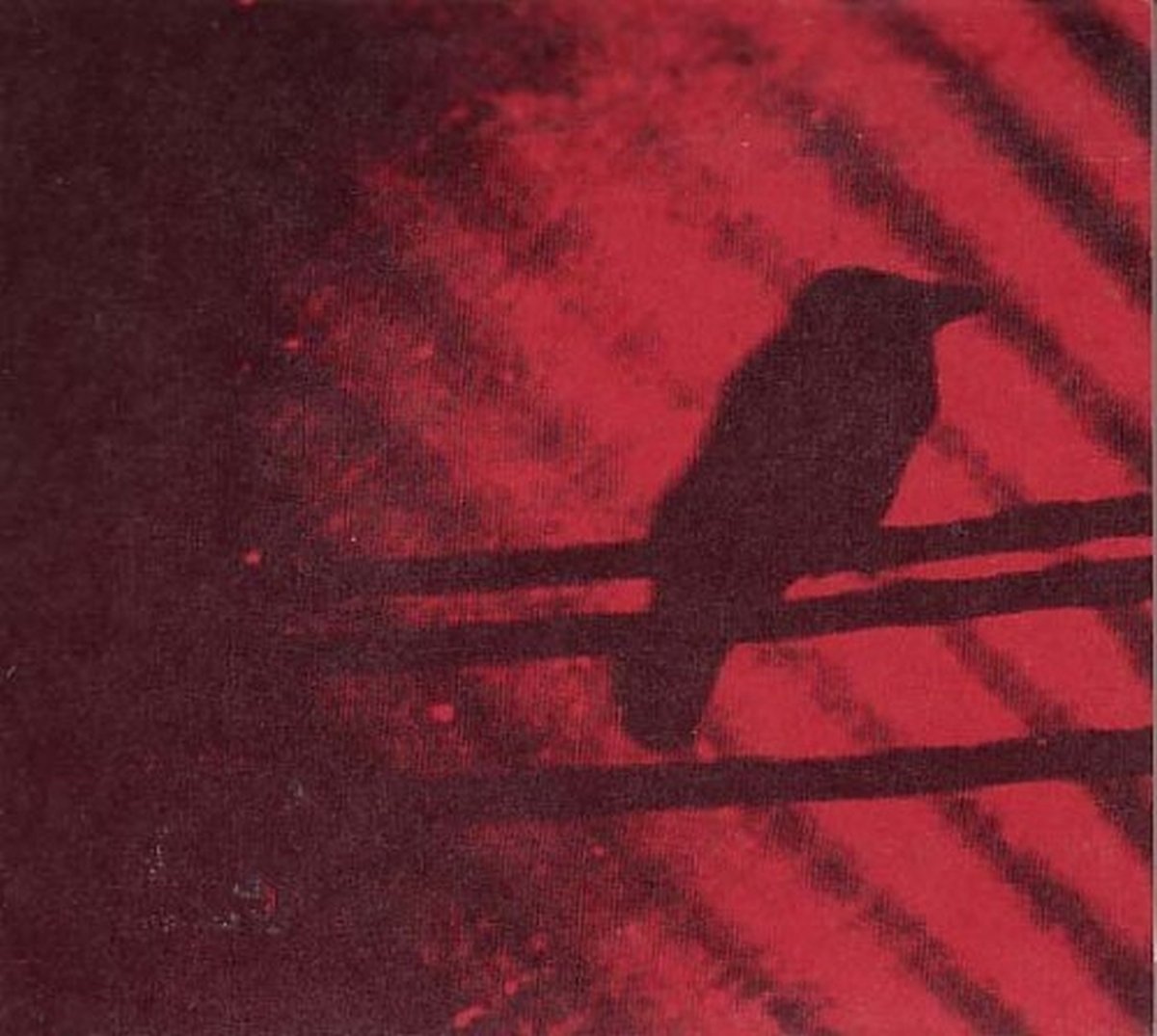 Silver Mount Zion – Born into Trouble as the Sparks Fly Upward