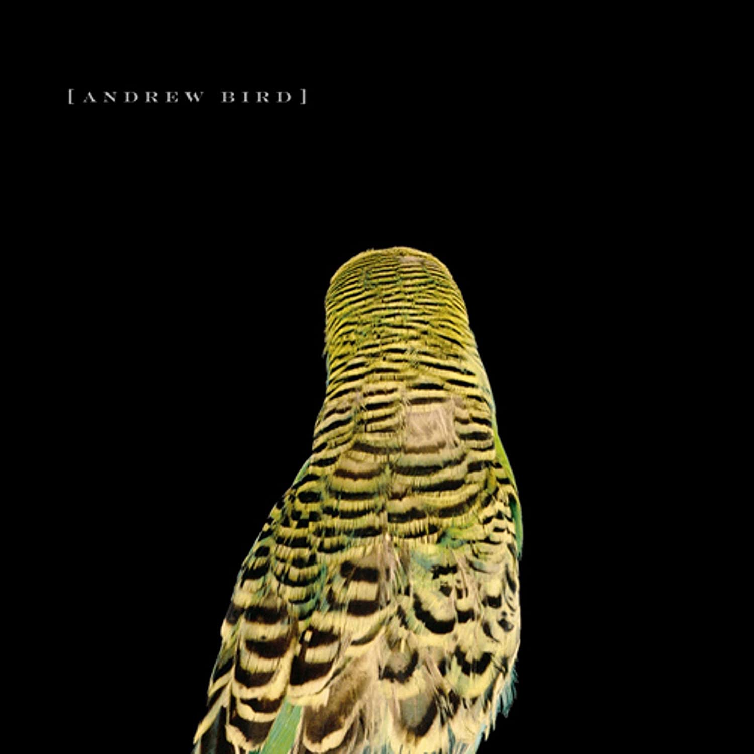 Andrew Bird – Armchair Apocrypha