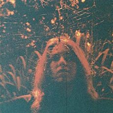 Turnover – Peripheral Vision (Clear Orange Vinyl)