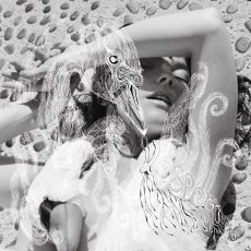 Björk – Vespertine