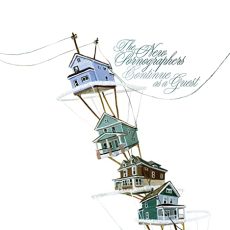 The New Pornographers – Continue as a Guest