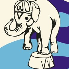 Jeff Mangum – Live at Jittery Joe’s