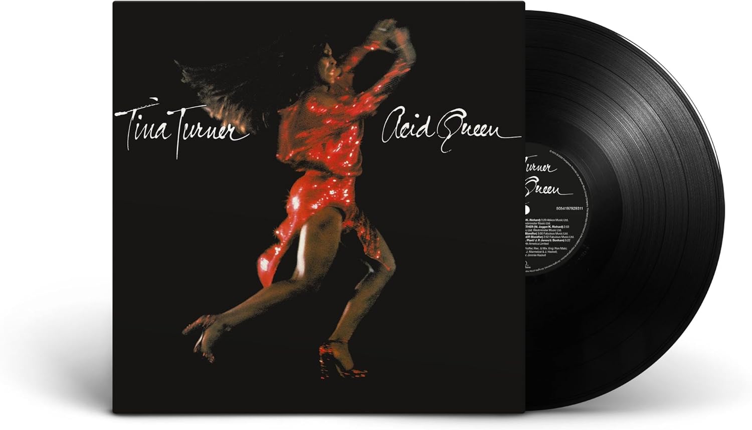 Tina Turner – Acid Queen