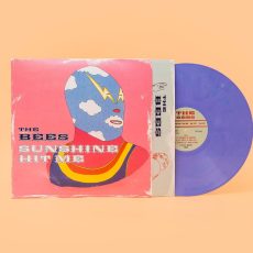 The Bees – Sunshine Hit Me