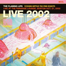 The Flaming Lips – Live 2002