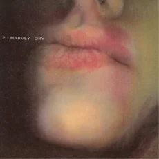 PJ Harvey – Dry